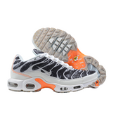 Nike Air Max Plus TN Crater